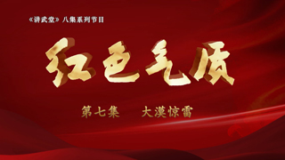 红色气质 第7集 大漠惊雷